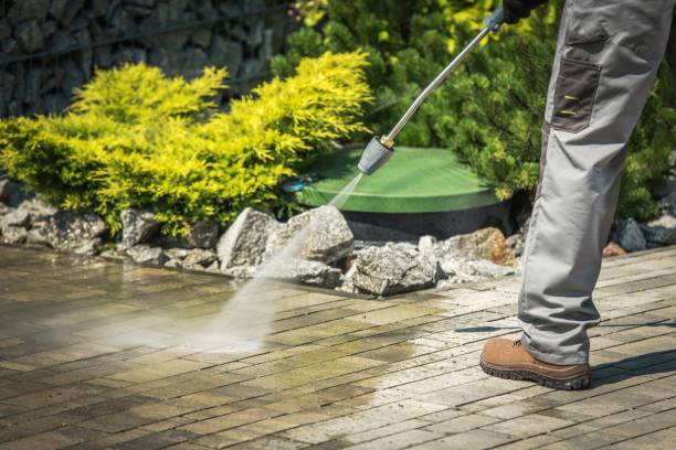 Animal Enclosure Cleaning in Kittery Point, ME